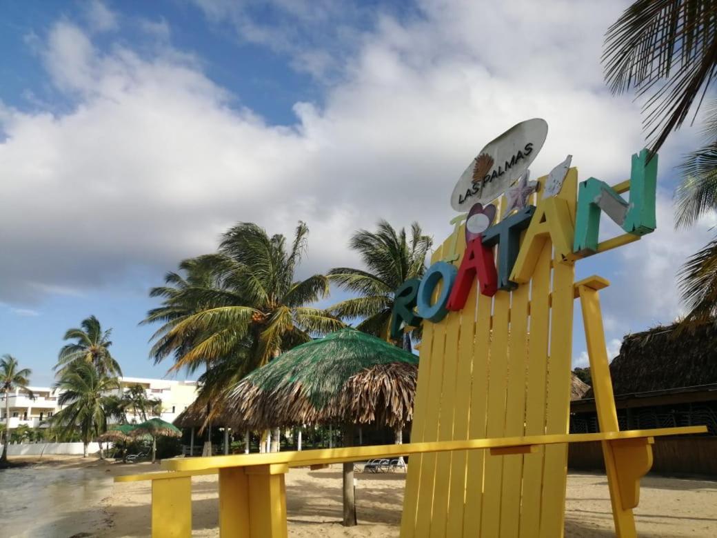 Las Palmas Beach Hotel Dixon Cove Bagian luar foto