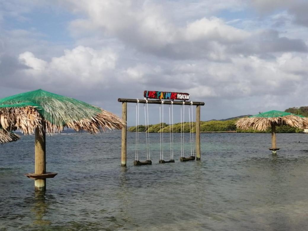 Las Palmas Beach Hotel Dixon Cove Bagian luar foto