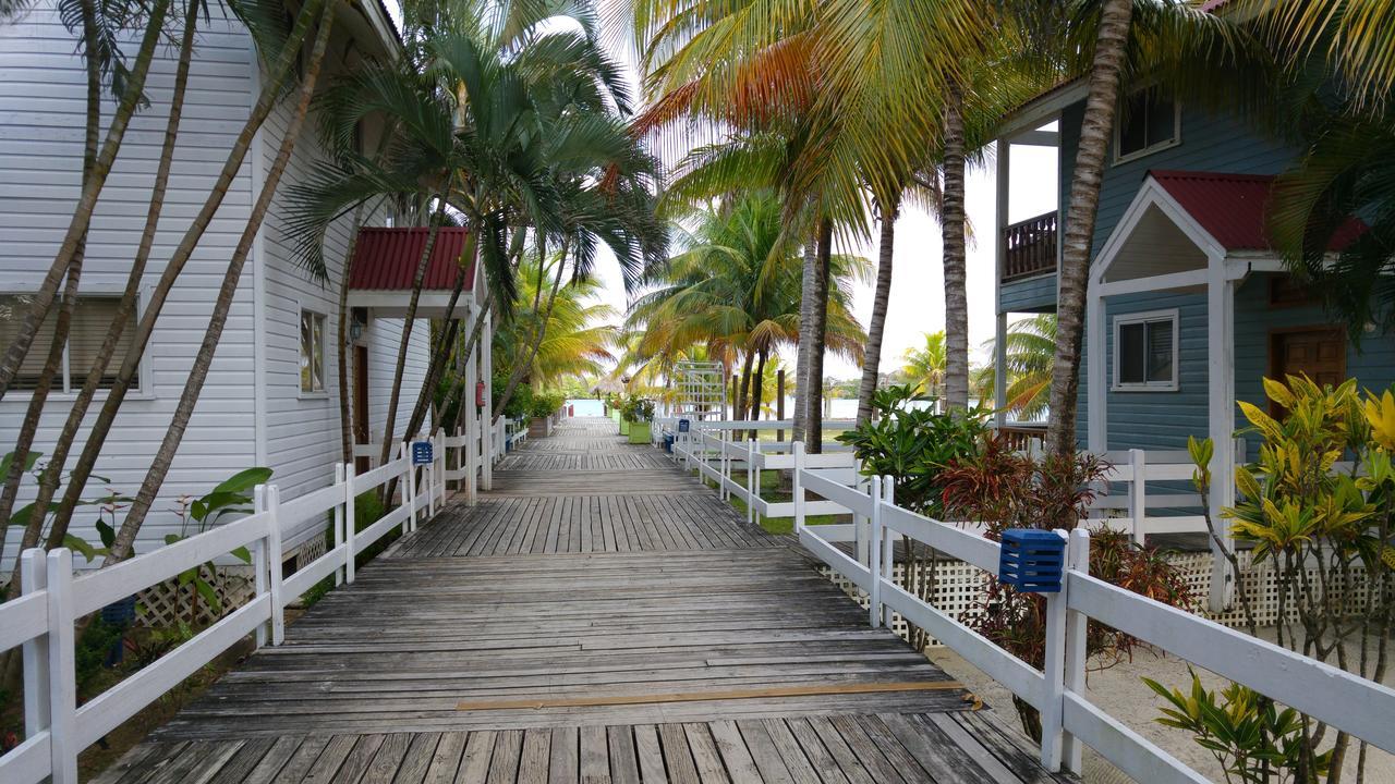 Las Palmas Beach Hotel Dixon Cove Bagian luar foto