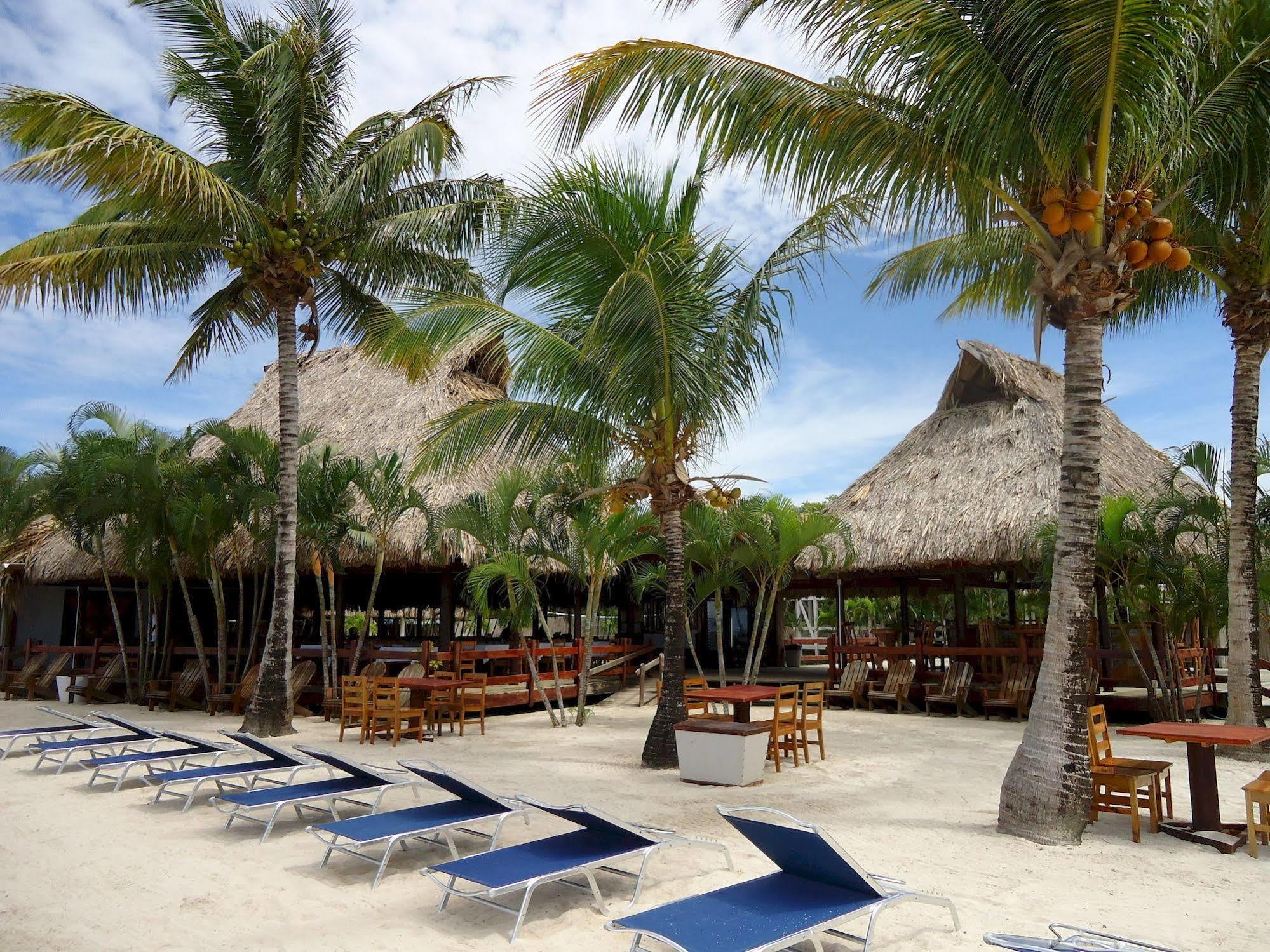 Las Palmas Beach Hotel Dixon Cove Bagian luar foto