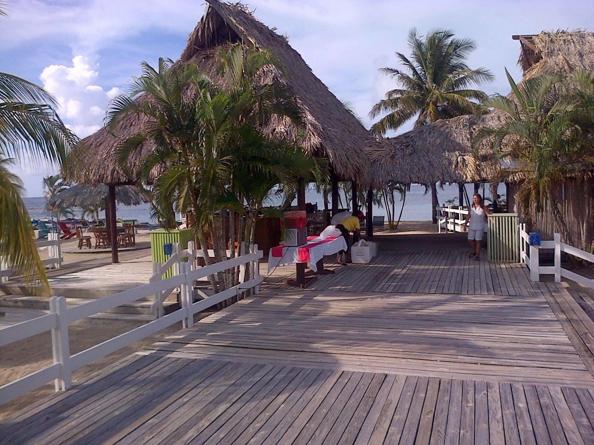 Las Palmas Beach Hotel Dixon Cove Bagian luar foto
