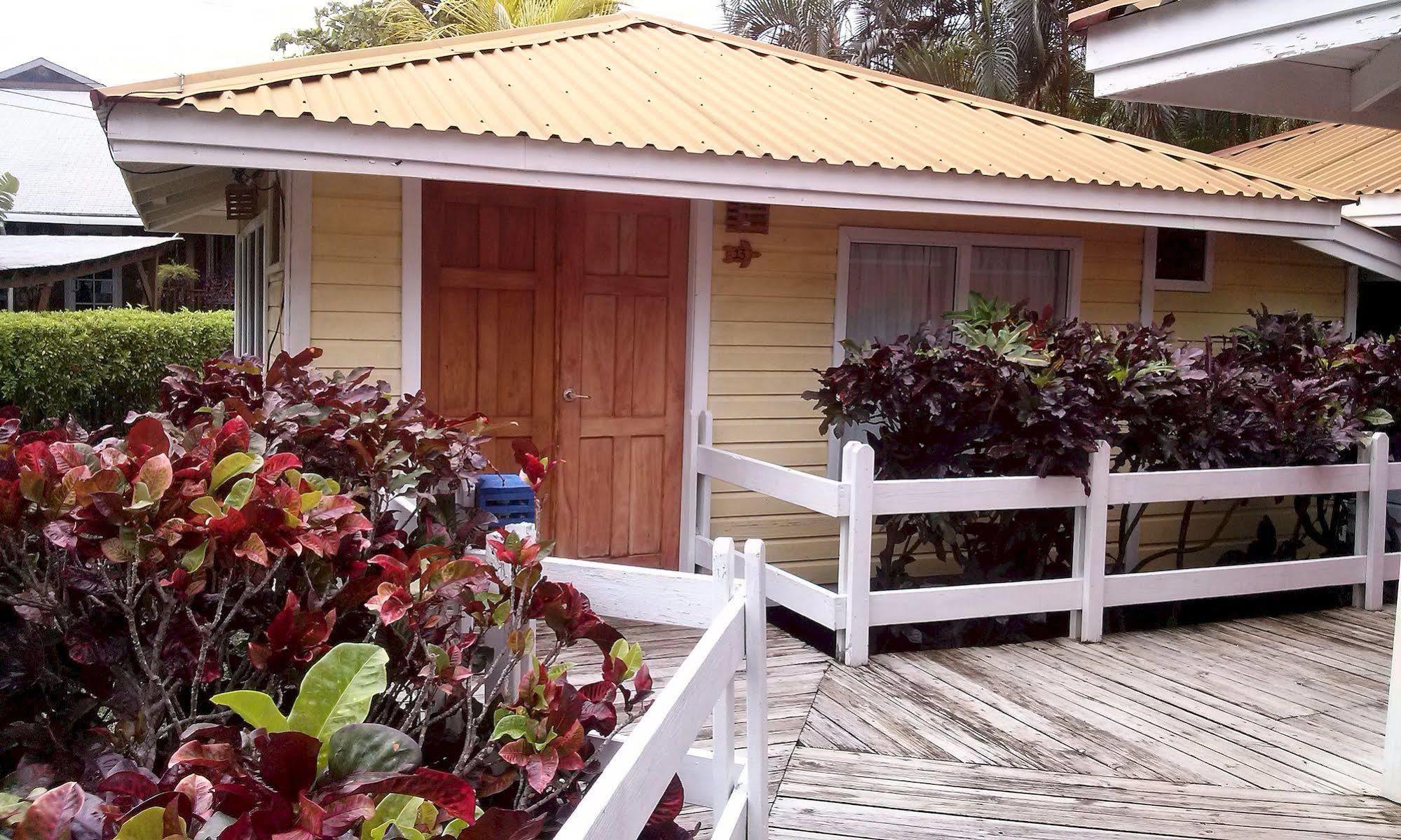 Las Palmas Beach Hotel Dixon Cove Bagian luar foto