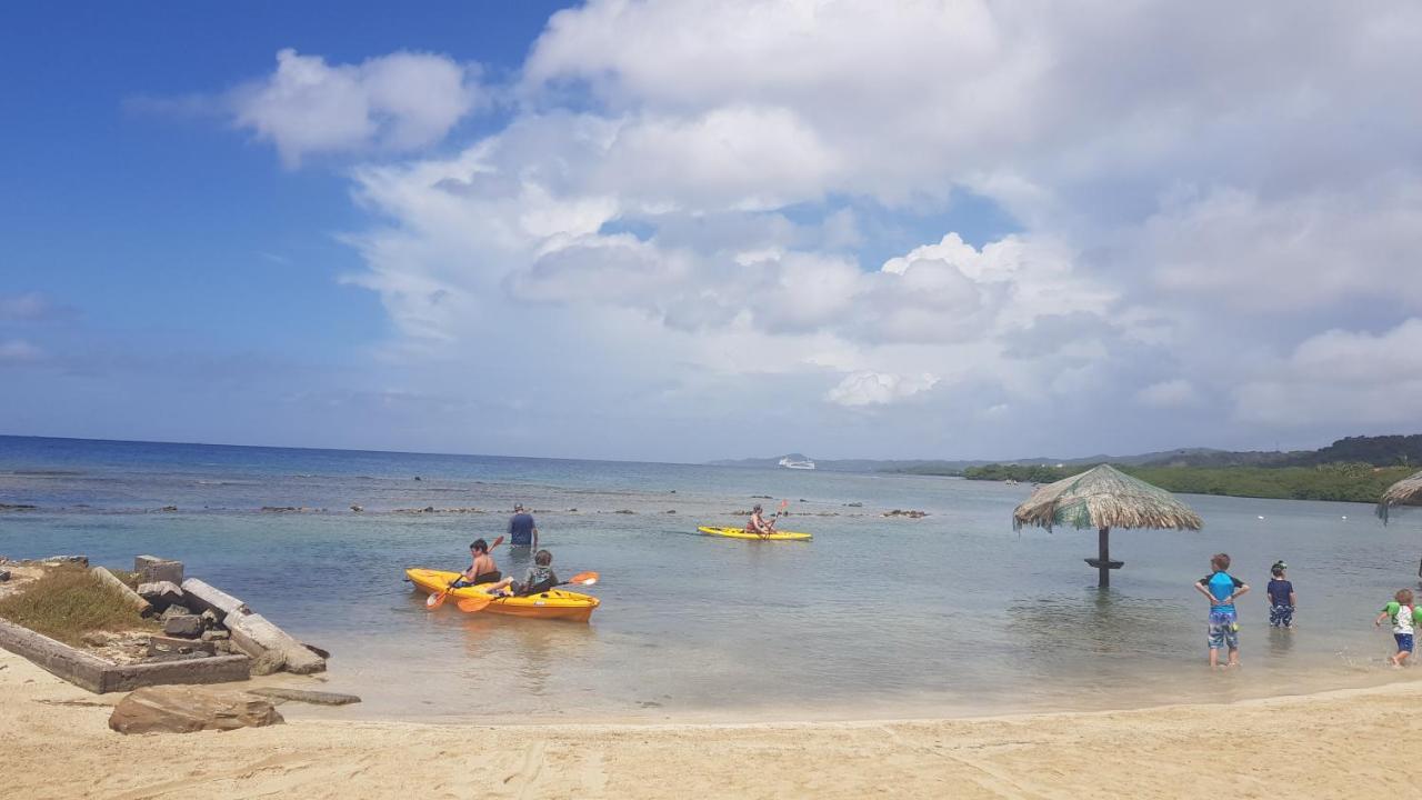 Las Palmas Beach Hotel Dixon Cove Bagian luar foto