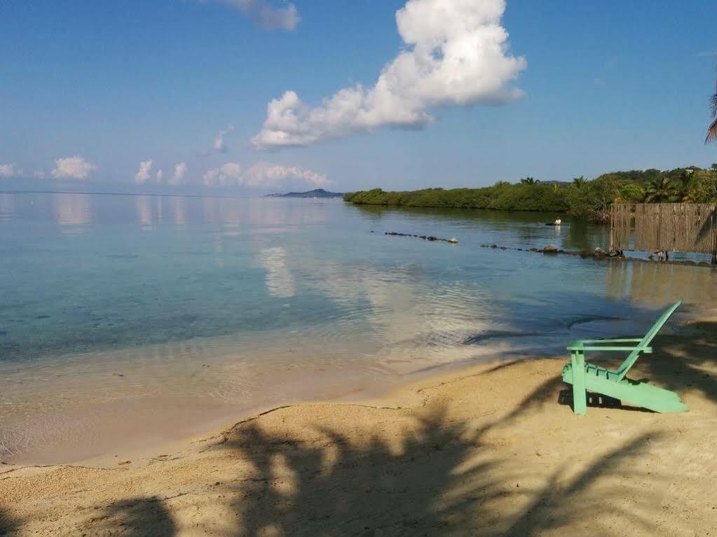 Las Palmas Beach Hotel Dixon Cove Bagian luar foto